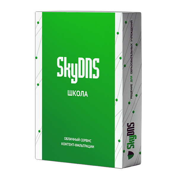 SkyDNS Школа. 200 лицензий на 1 год