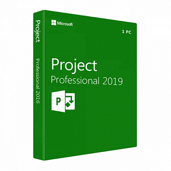 Project Professional 2019